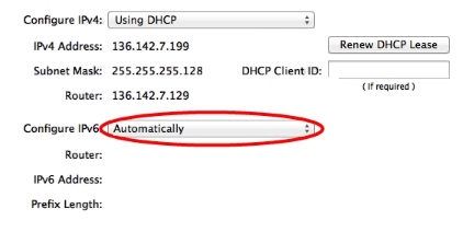 How to turn IPv6 Back On?