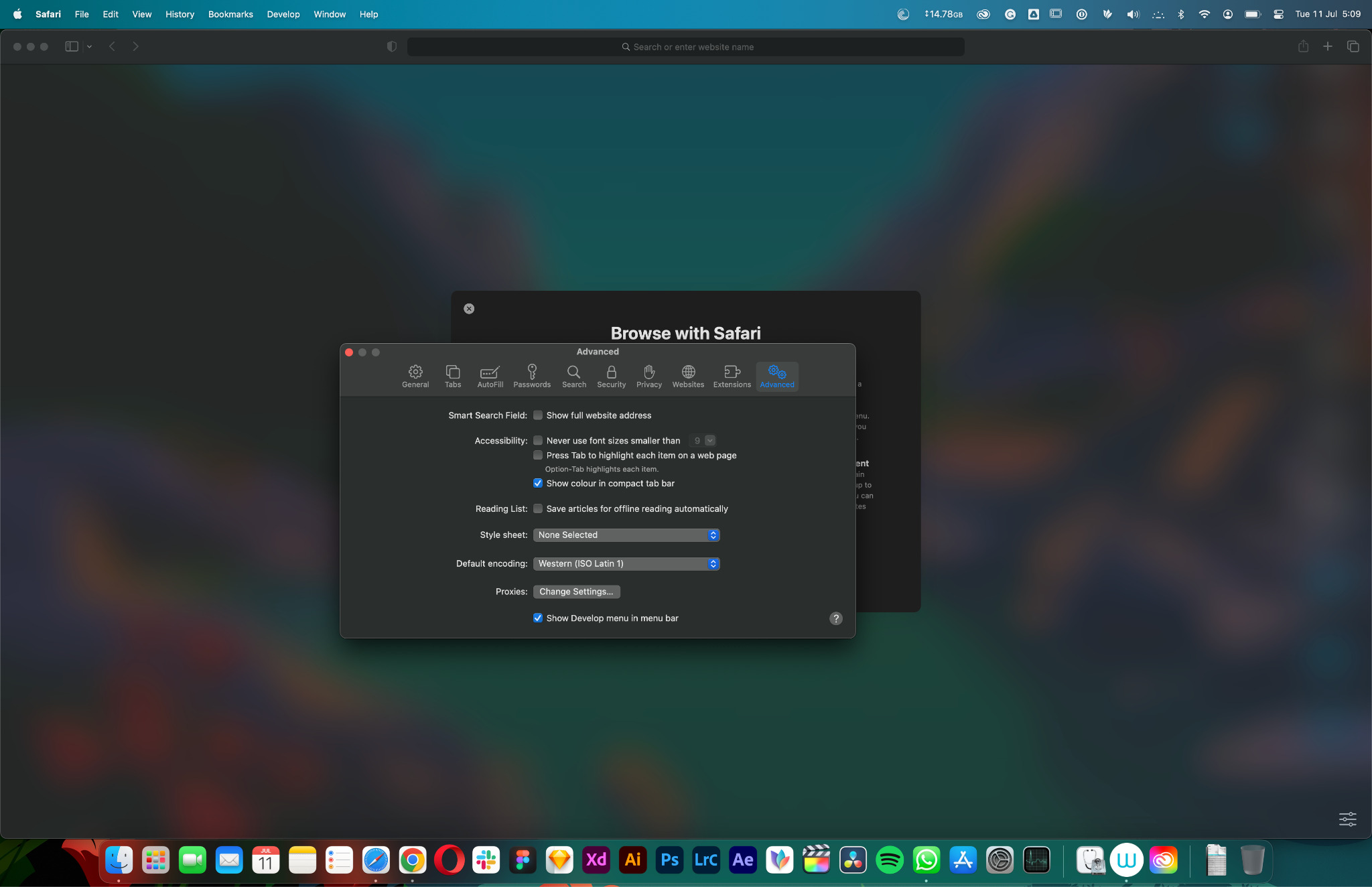 Show Develop menu in the menu bar