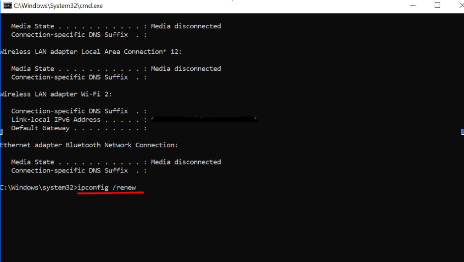 type "ipconfig /renew