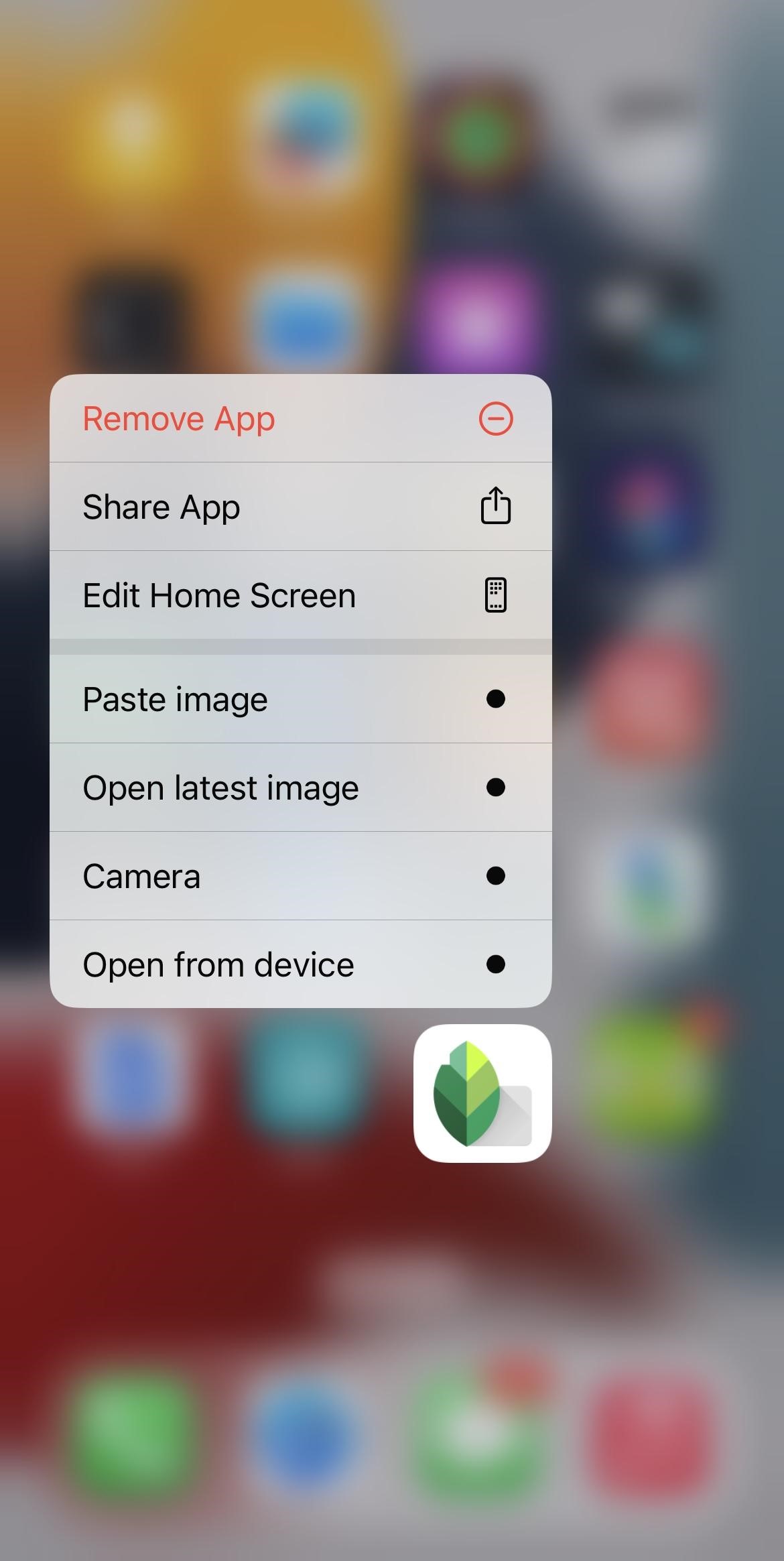 Remove From Home Screen