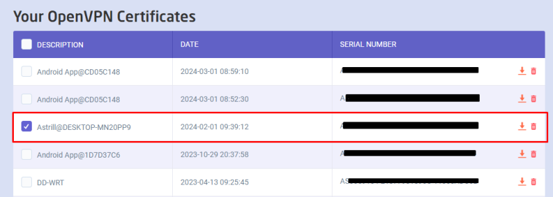 configure OpenVPN connection on Windows 10