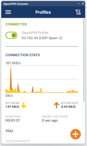 configure OpenVPN connection on Windows 10