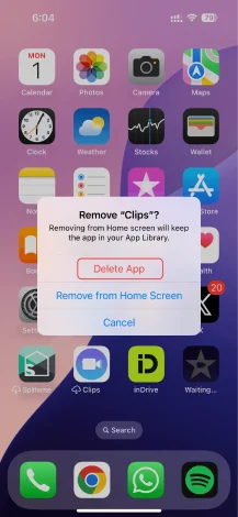 Remove App Delete App