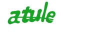 Please type the word you see in the image below.