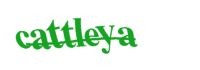 Please type the word you see in the image below.
