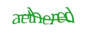 Please type the word you see in the image below.