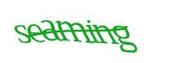 Please type the word you see in the image below.
