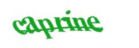 Please type the word you see in the image below.
