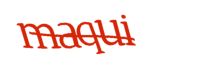 下記に表示された文字を入力してください。
