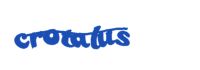 Please type the word you see in the image below.