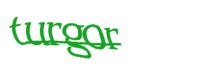 Please type the word you see in the image below.