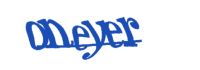 Please type the word you see in the image below.