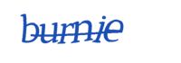 Please type the word you see in the image below.