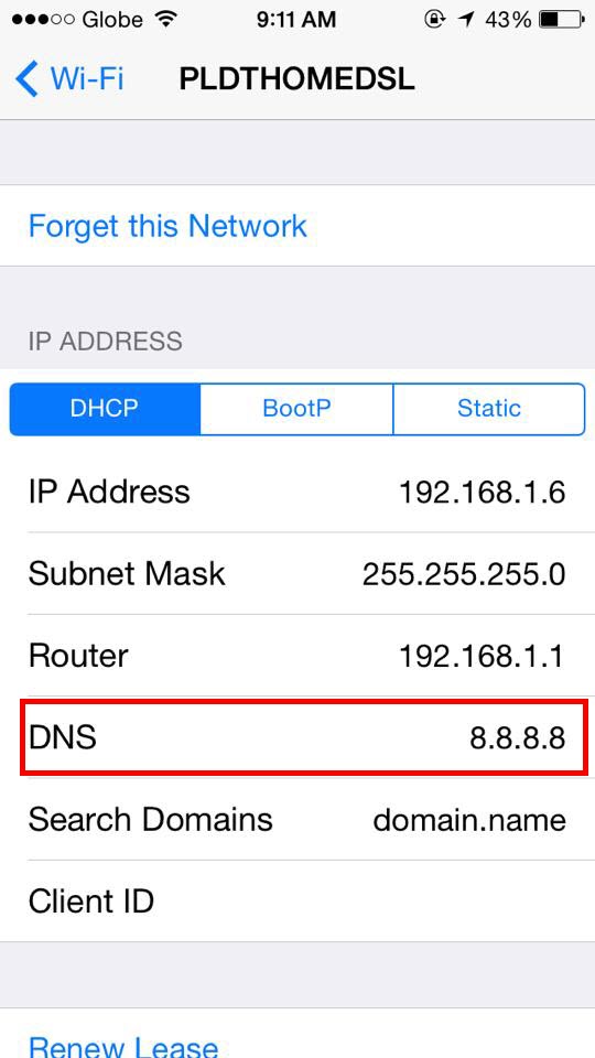 DNS4.jpg