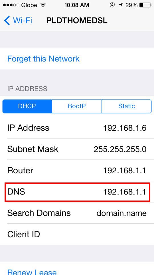 DNS5.jpg