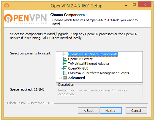 File:Win openvpn-app6.png