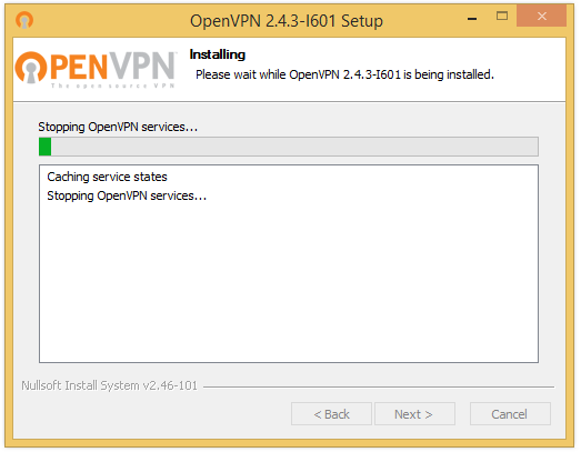 Win openvpn-app8.png