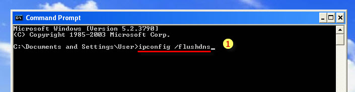 DNS-Flush-Win-Xp-3.jpg