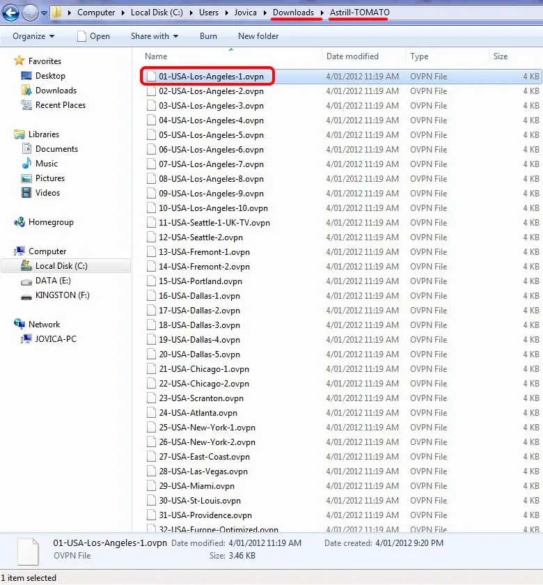 Windows Explorer showing downloaded OpenVPN profile files