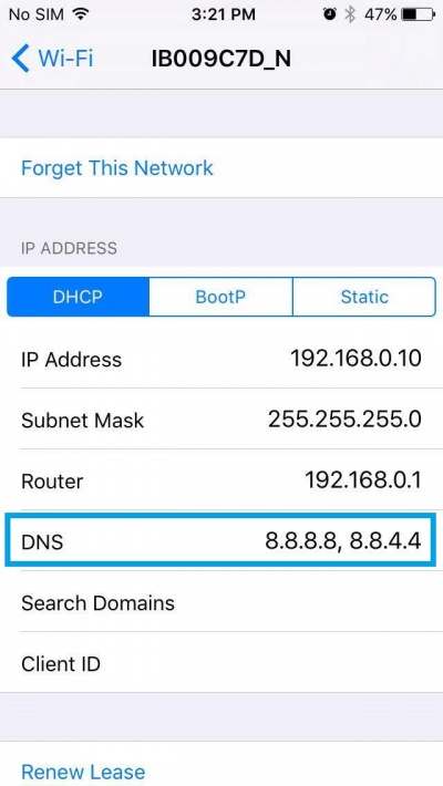 Iphone-dns5.jpg