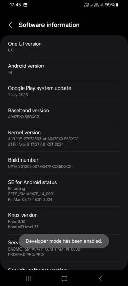 Enable debugging and developer options 3.jpg