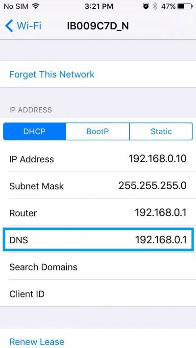 Iphone-dns4.jpg